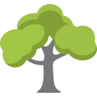 Clarksville Tree Trimming