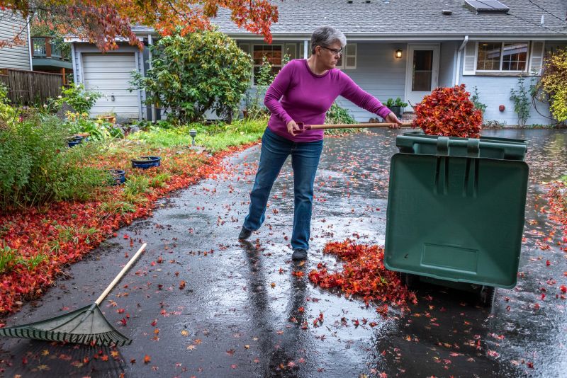 Fall Leaf Removal