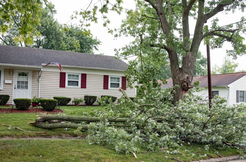 Fallen Tree on Residential Property