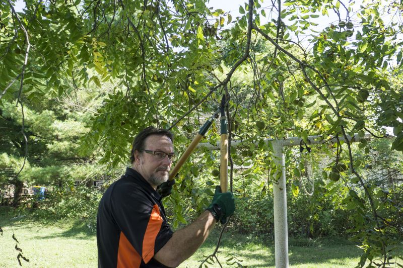 Seasonal Tree Care Equipment
