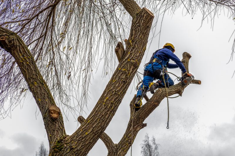 Tree Care Associations