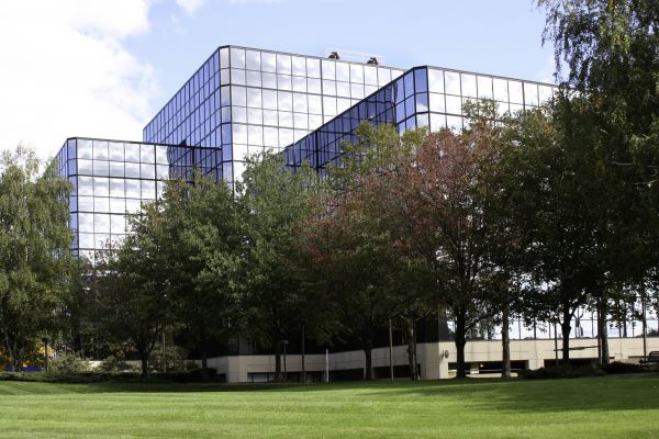 Commercial Tree Trimming in Clarksville